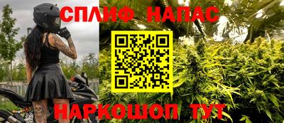 спиды Заводоуковск