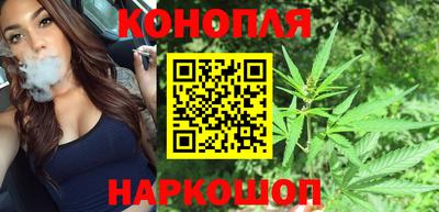 спиды Заводоуковск
