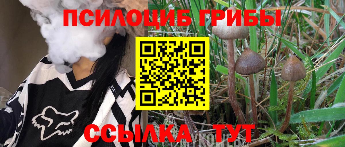 Псилоцибиновые грибы GOLDEN TEACHER  Вход с VPN  Людиново 
