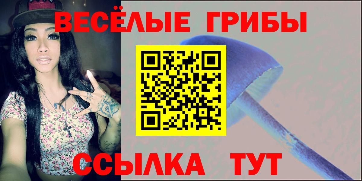 Псилоцибиновые грибы MAGIC MUSHROOMS Людиново